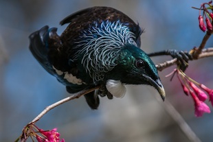 tui_life and light