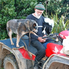 Colin and his dogs copy