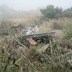 Caroline McQuarrie, Remains of private residence, Denniston