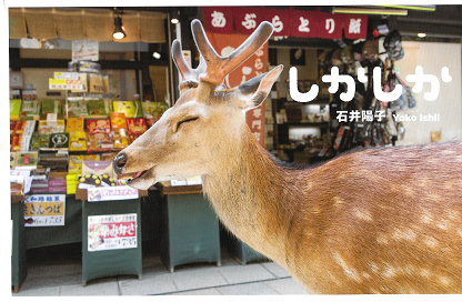 Yoko ISHII; Dear Deer