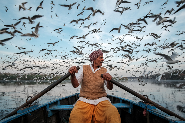 Saurabh Narang; Feed Birds IPP