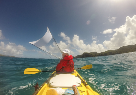 Auckland Sea Kayaks