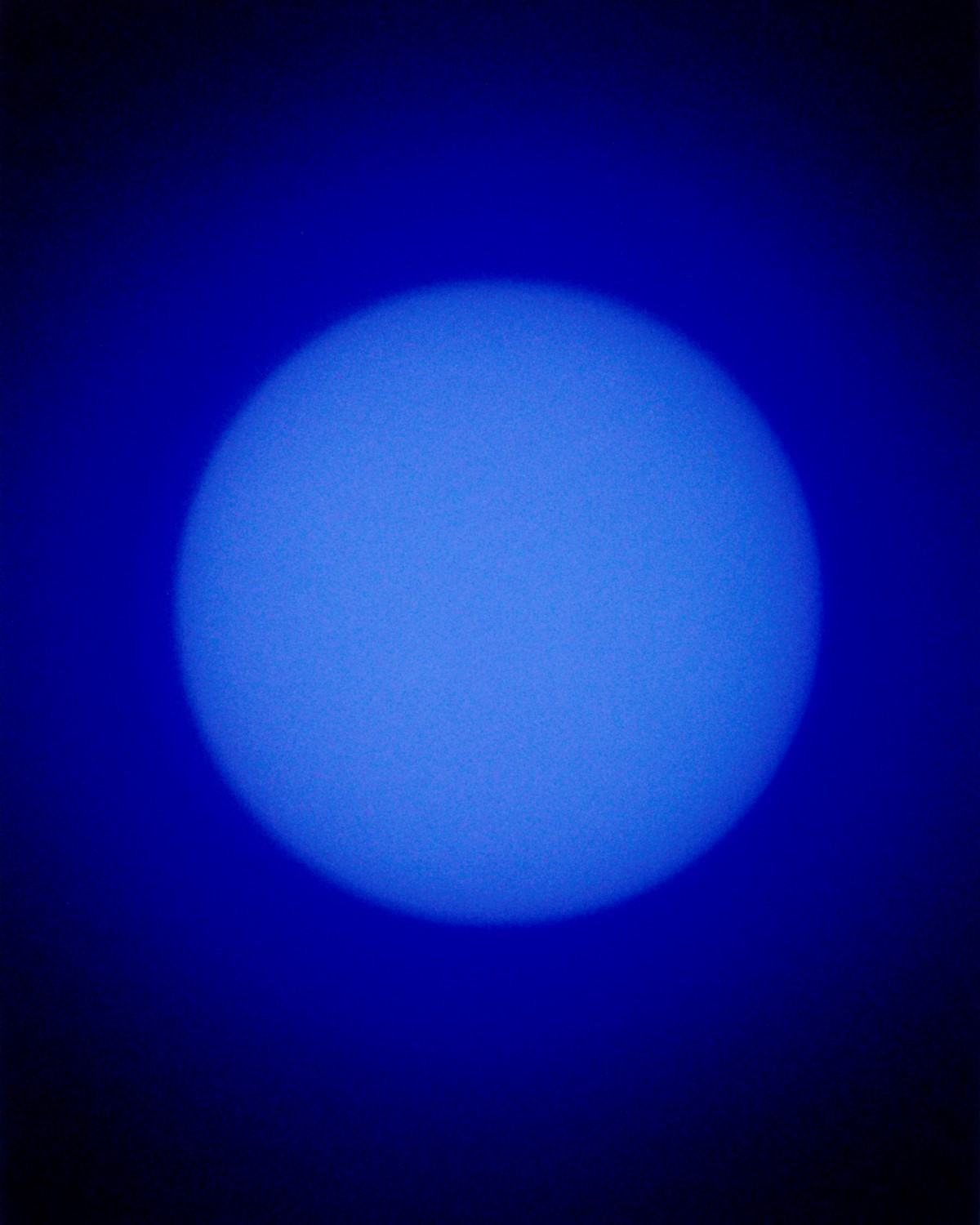 'You Are The Blue' - Luke Foley-Martin