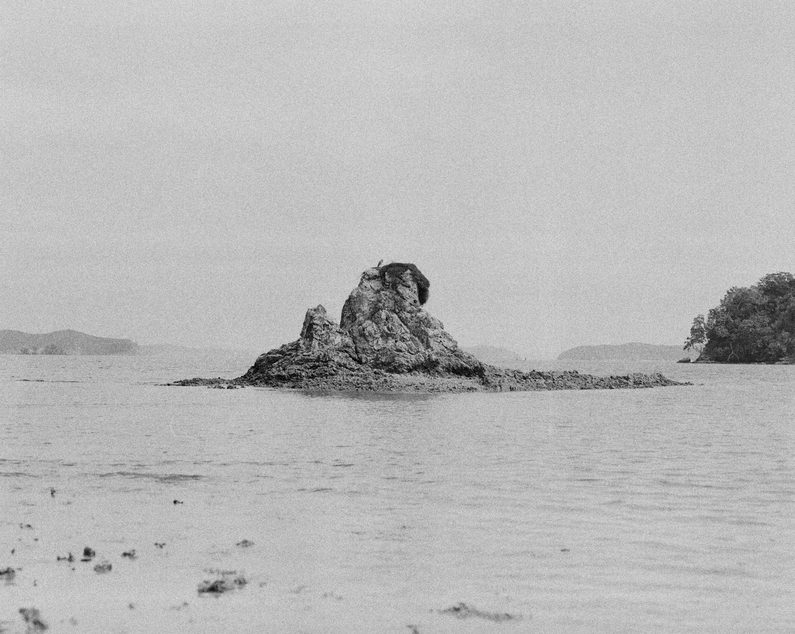 Low Tide, Omakiwi Cove