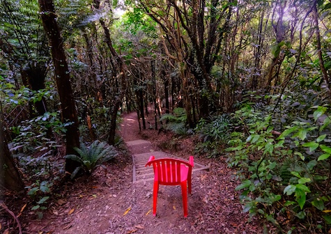 The Red Chair