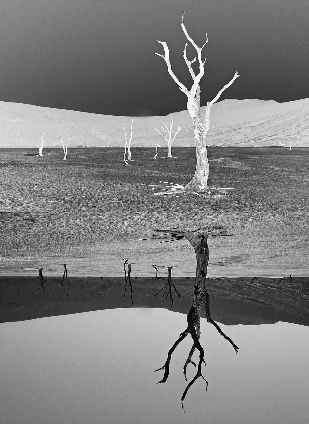 Antithesis #2 - John Botton