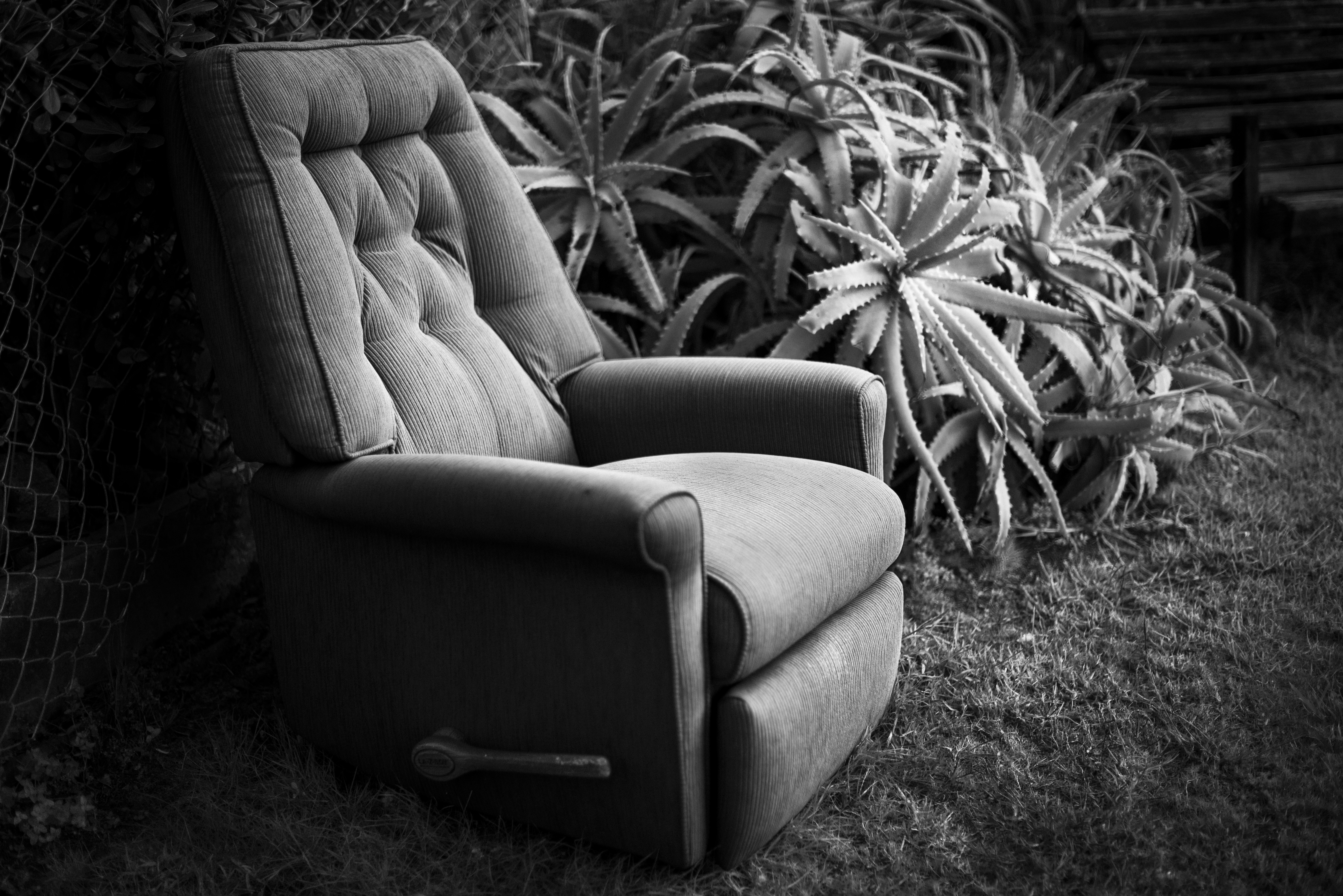 Auckland Festival of Photography