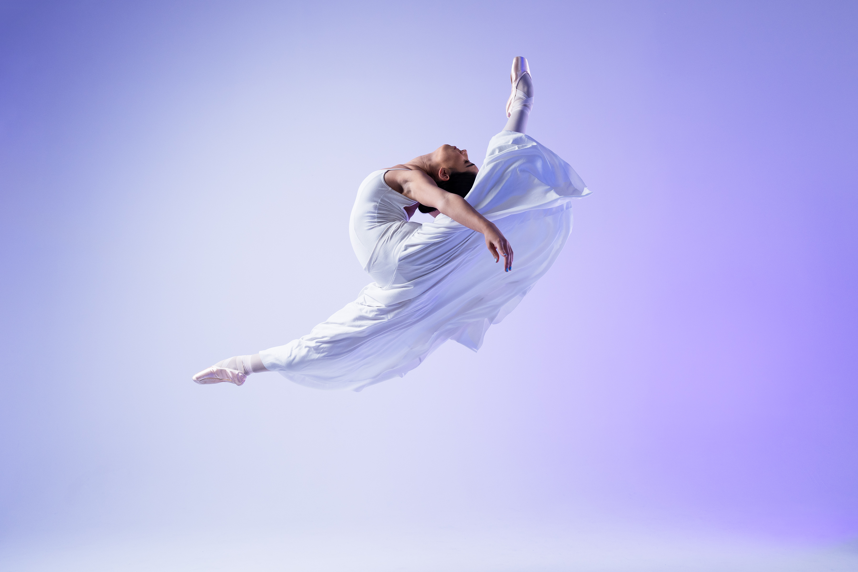 Auckland Festival of Photography