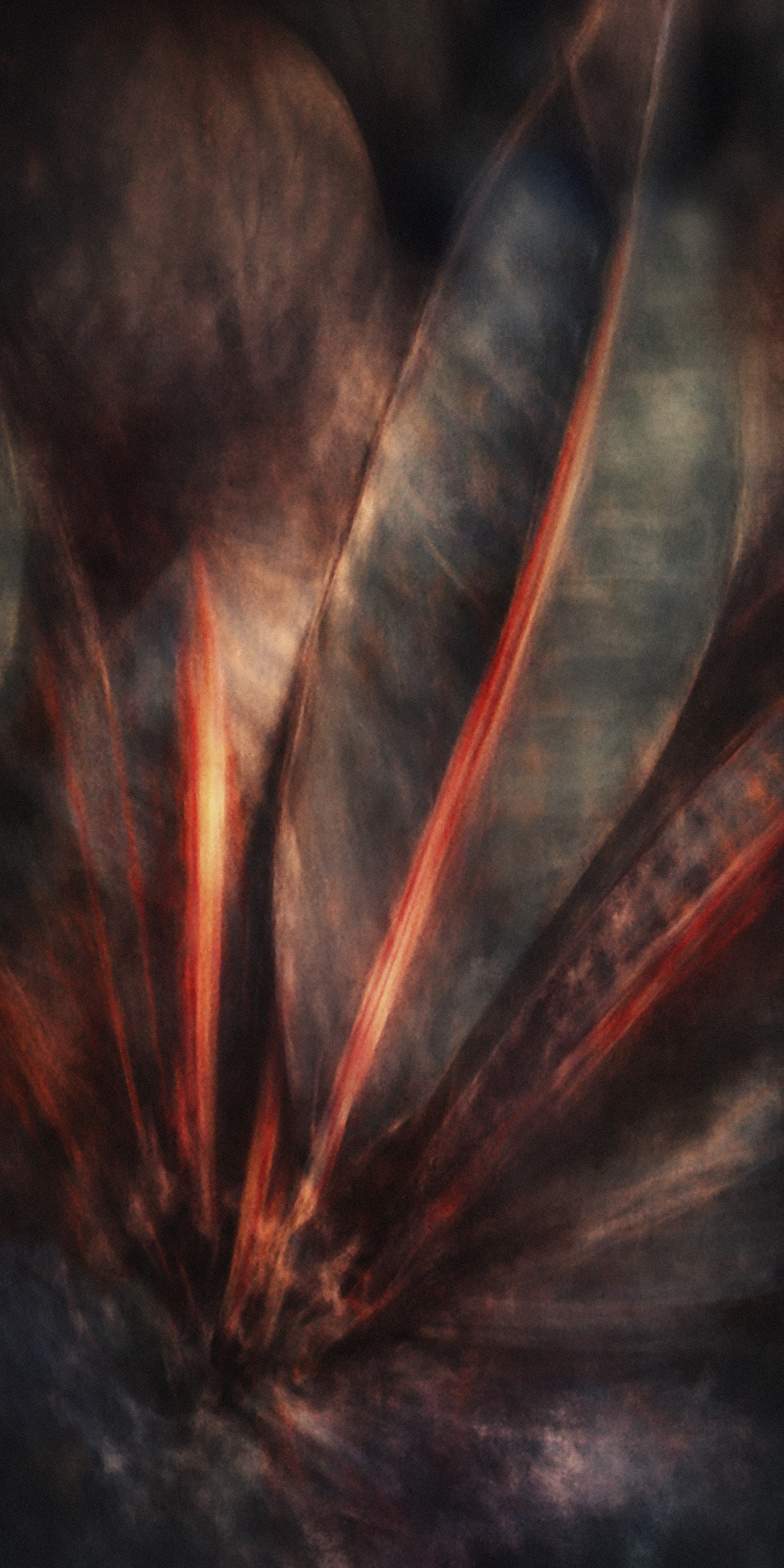 Auckland Festival of Photography