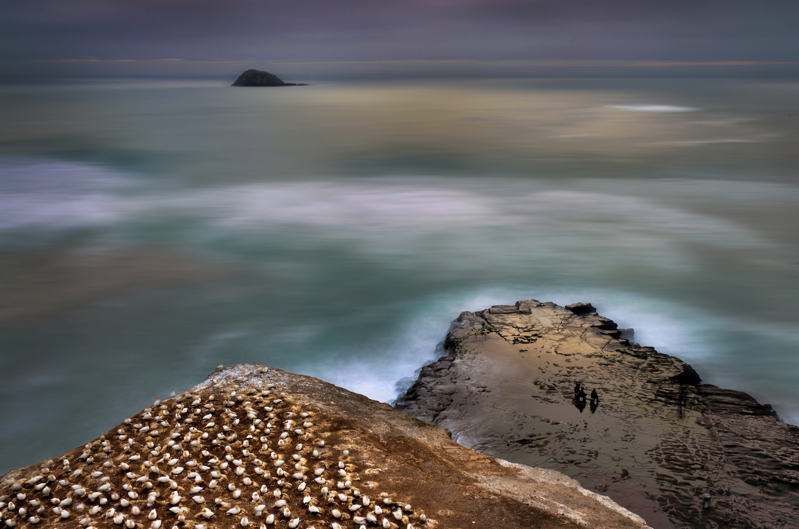 Muriwai by Bob McCree FPSNZ