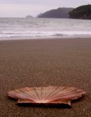 Shell Station-ed At Manukau Heads