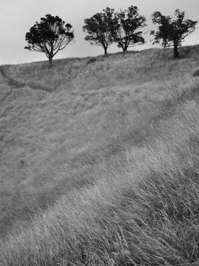 Aroha Awarau; Mt Eden Back and White