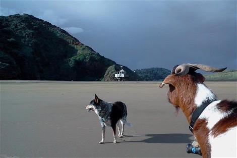 Caro Brooking; Storm Over Auckland