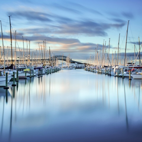 Debby Tweed; Westhaven Marina