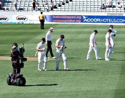 Kerri Walker; Cricket