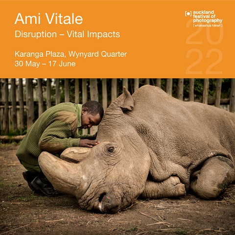 Ami Vitale; Vital Impacts