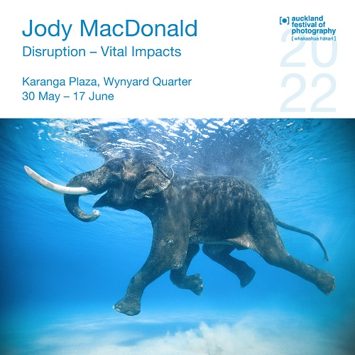 Jody MacDonald; Vital Impacts