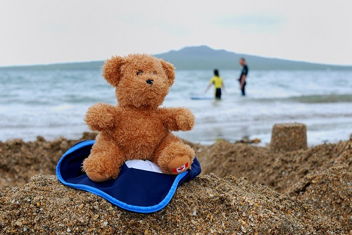 Gavin Tasker; Charlie Bear enjoys Narrow Neck Beach