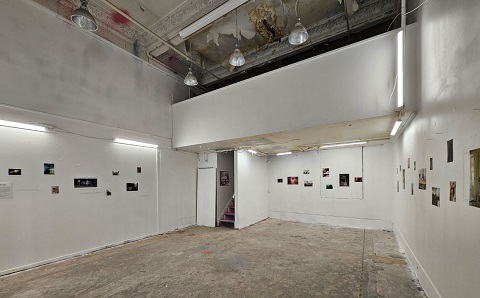 Maverick; Pop Up show Jan 2025