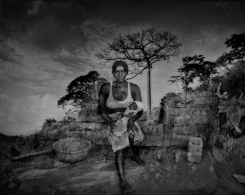 James Whitlow Delano; Rainforest Sentinels