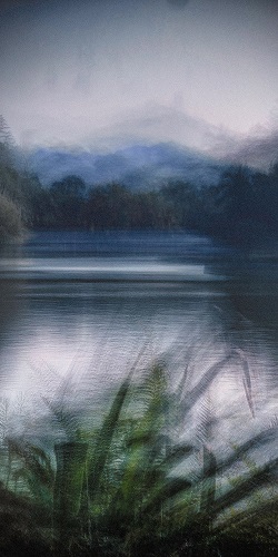 Where-the-Light-Paused-Silently-2