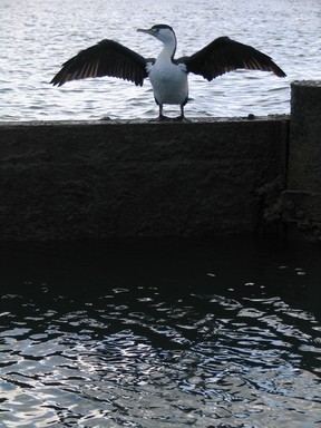  Just Chilling Out