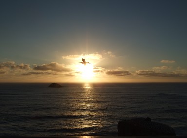 Bonnie Buchan; Muriwai at Dusk; Muriwai Beach waiting for the comet