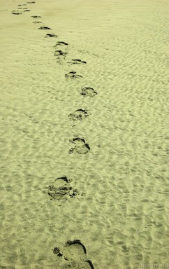  Footprints