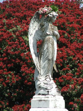 Linda Gomas; Christmases Past; Taken at Waikaraka Cemetery