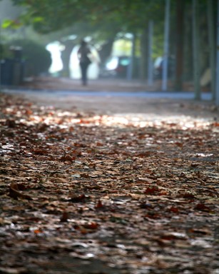 Stephen Hardy; Walking to Work; Taken along Franklin Rd