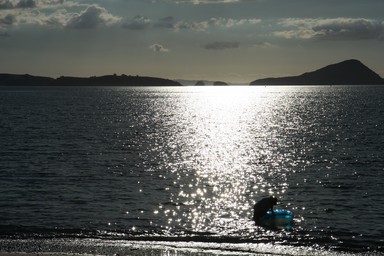 Nayden Koon; Near Sunset; Towards the Coromandel Peninsula