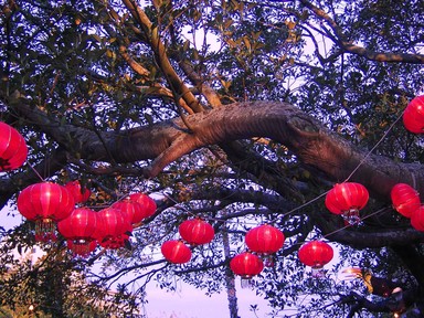 Ingrid Meder; Festival Lights; Lantern Festival @ Albert Park