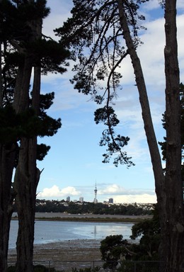 Bernie Harfleet; Long View; Trees being overtaken by urban sprawl