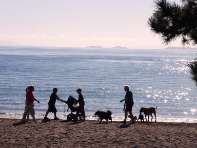 Mila Stojadinovic; Baby and others; Browns bay early morning