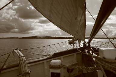 Anita Szabo Ryan; Sailing 2; I was sailing on the Ted Ashby boat in Auckland harbour on the 24th April