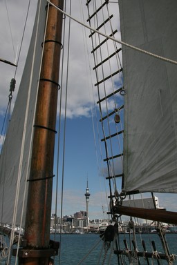  I was sailing on the Ted Ashby boat in Auckland harbour on the 24th April