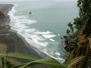 Zelda Wynn; Wild West Coast; A photo captured while walking on one of the many tracks in the Waitakere Ranges. Looking South towards Manukau Heads.