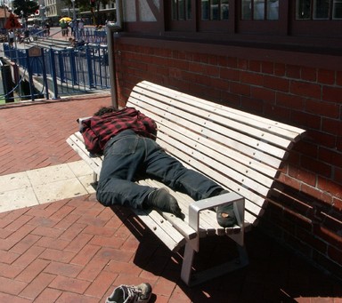 Zelda Wynn; WORN OUT; Worn out and basking in the sun Auckland City