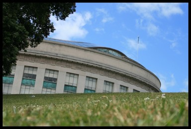 Paul Hallett; Auckland War Memorial Museum