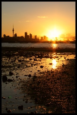 Paul Hallett; Monday sunset; Sunset over the CBD from Okahu Bay