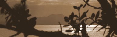 Lynn Clayton; Rangitoto thru' the Pohutkawa; Sepia toned as it is timeless