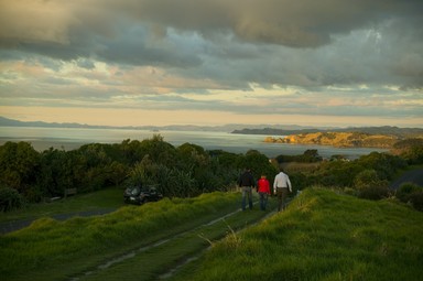  Evening Walk