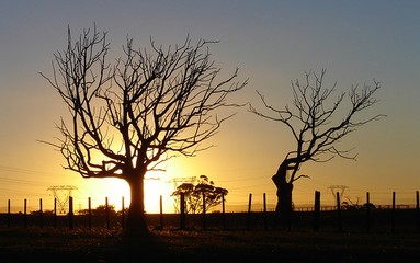 Matt Moule; Sunset For Flatbush; View from Murphy's over Flat Bush. No doubt soon to be new sub divisions