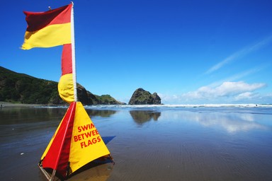 Brent Neighbour; Piha; Piha Beach   Summer time!!