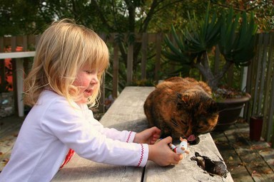 Lyall Reynolds; Mo looks interested at mouse offering; Grandaughter Chloe (2) offering the cat her new Maisy mouse at her 2nd birthday