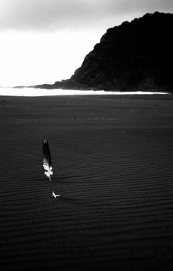 Nyrelle rowan; untitled; muriwai