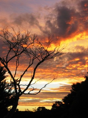  Sunset West Harbour