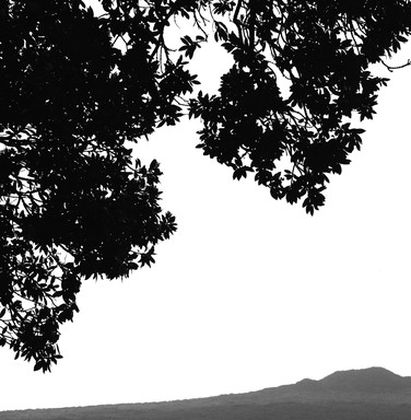  takapuna