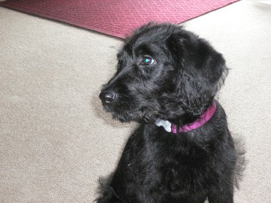 Winifred Struthers; I think this is my best side.; Toby on a visit to Grandma's.