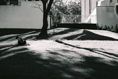 Ellenette Nusbaum; Noon. Myers Park.; This is part of a series of images I took during a walk through Auckland City at lunch time.